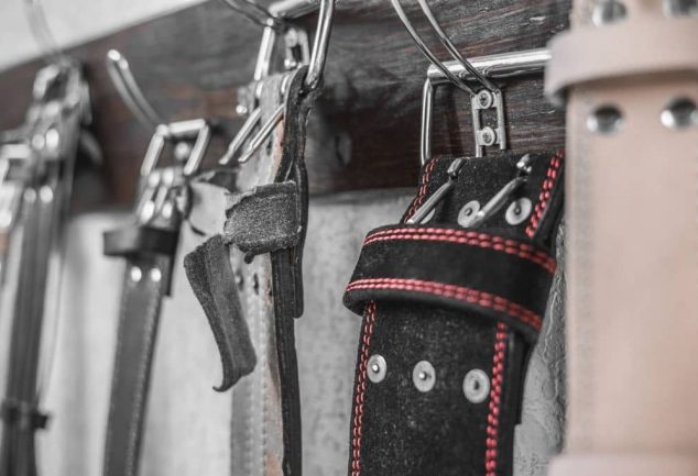 Best Dip Belts