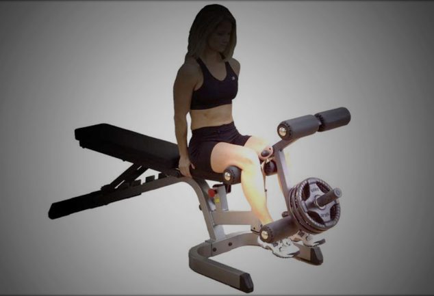 Body Solid Leg Developer Attachment GLDA3