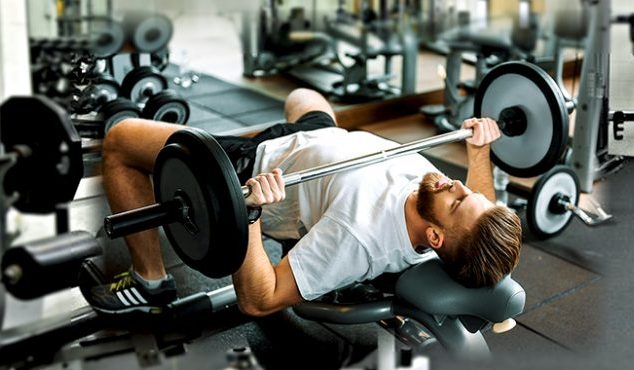 choose weight bench for Adult