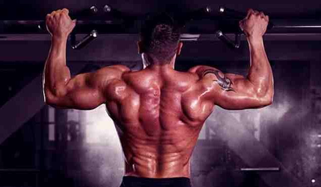 Upper Body Pull Exercises